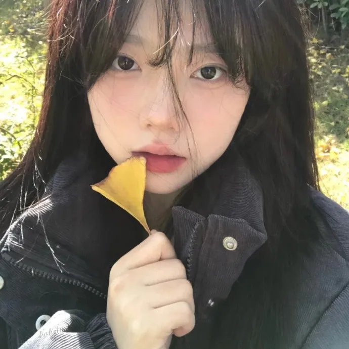 贵妃还乡